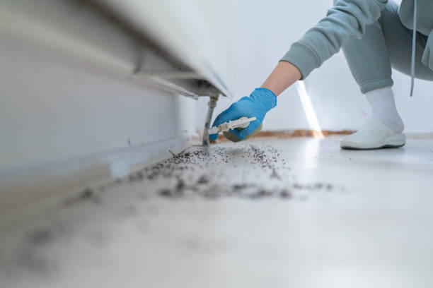 Pest Control Cost in Shell Point, SC